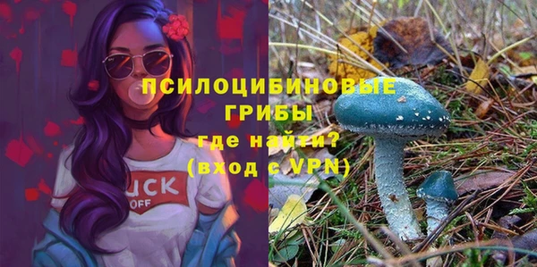 jwh Пересвет