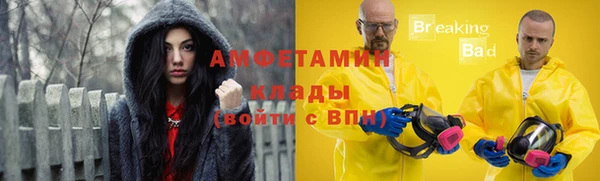 дурь Пестово