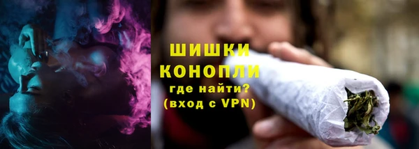 дурь Пестово