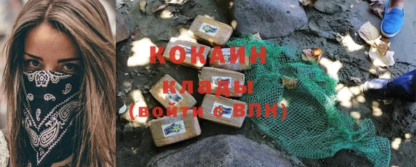 jwh Пересвет