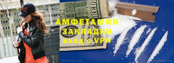 дурь Пестово