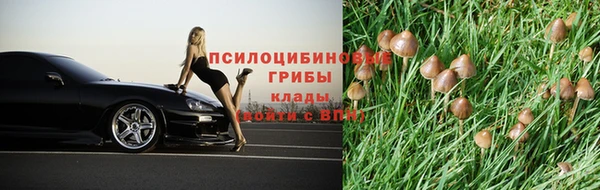 ешки Переславль-Залесский
