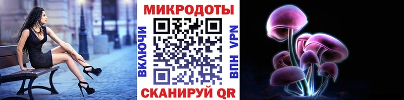 закладки  Баксан  Псилоцибиновые грибы GOLDEN TEACHER 