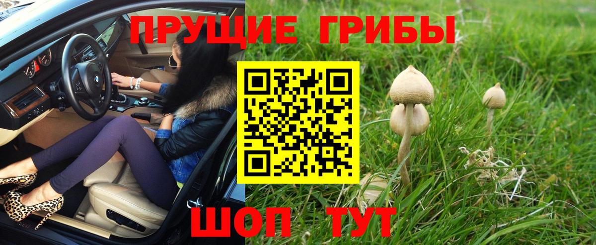Галлюциногенные грибы мицелий  где купить наркоту  Баксан  Галлюциногенные грибы Magic Shrooms  Вход с VPN 