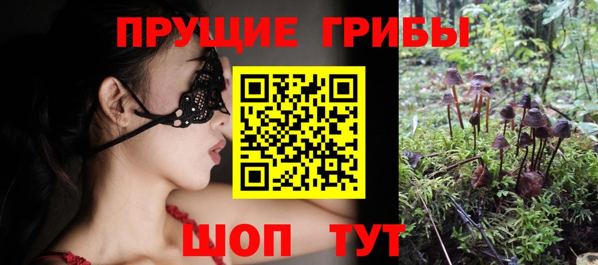 Псилоцибиновые грибы ЛСД Баксан